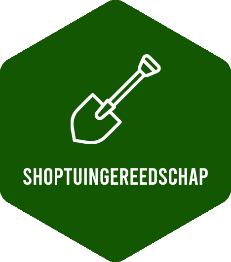 Logo Shop Thuingereedschap